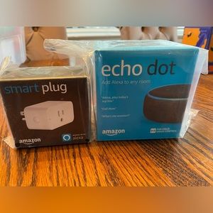 Amazon Echo Dot and Smart Plug